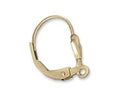 Ear wire Gold Filled 2pcs