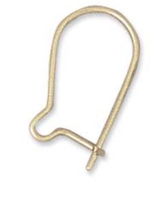 2pcs/Ear wire Gold Filled