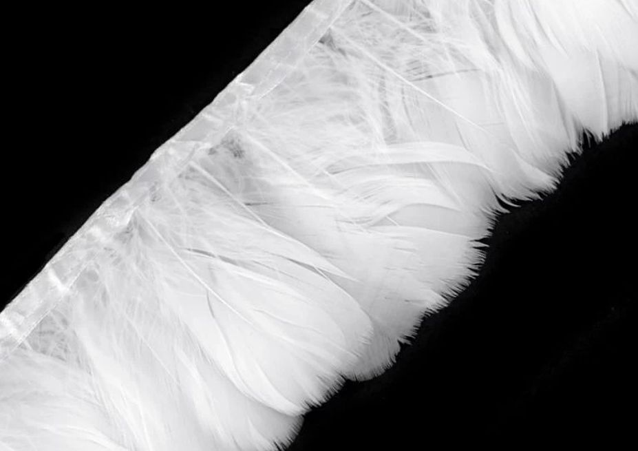 Feather Trimming - Goose Feathers/9cm/1m