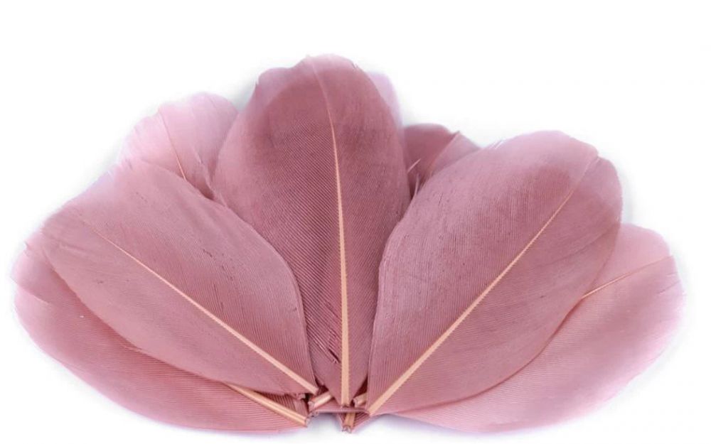 Goose Feathers 10pcs/ 5.5-7cm