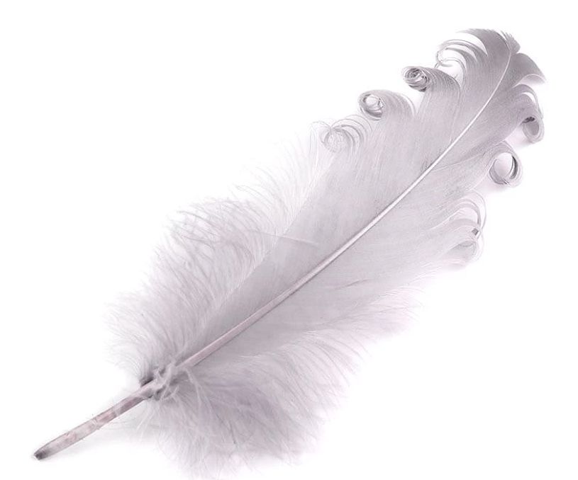 4pcs/Curly Goose Feathers/12-18cm