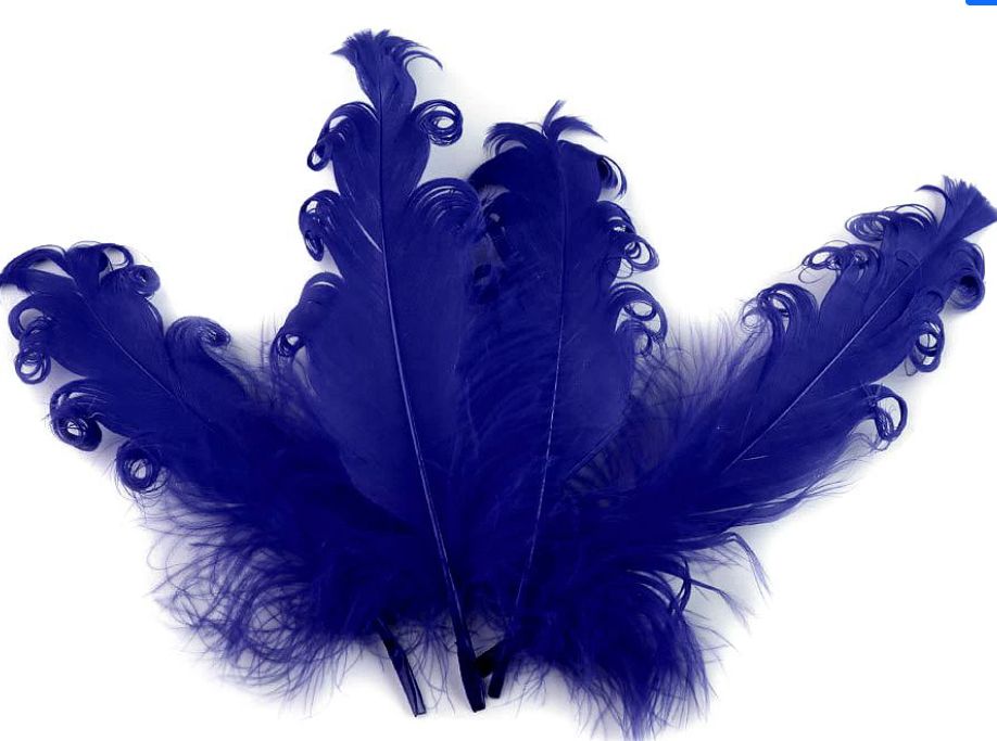 4pcs/Curly Goose Feathers/12-18cm