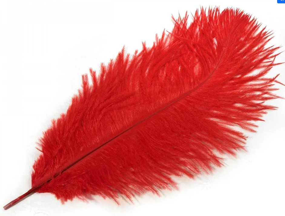 Ostrich Feather/1pcs/ 20-25cm