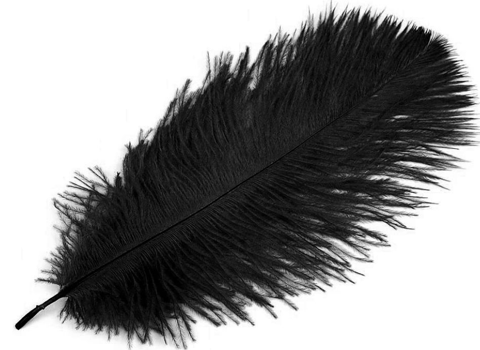 Ostrich Feather/1pcs/ 20-25cm