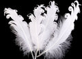 4pcs/Curly Goose Feathers/12-18cm
