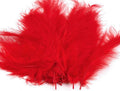 Ostrich Feathers length 20pcs/ 9-16 cm