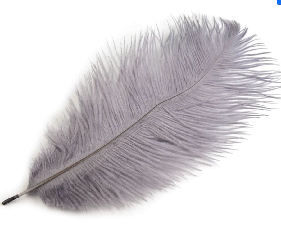 Ostrich Feather/1pcs/ 20-25cm