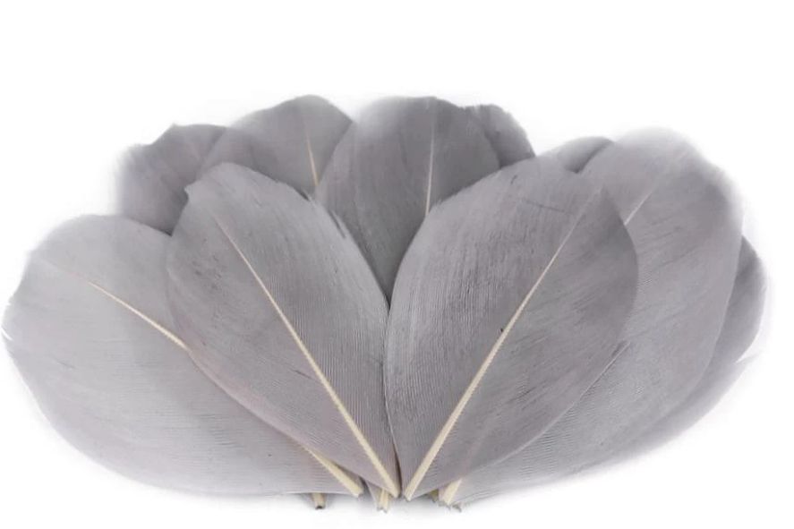 Goose Feathers 10pcs/ 5.5-7cm