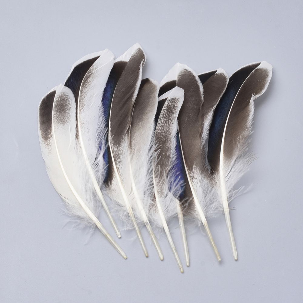 10pcs/Feather Costume Accessories, Dyed/ 115~160x20~35mm