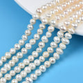 Natural Cultured Freshwater Pearl Beads Strands, Potato, Seashell Color, 4~5.5x5.5~7x4.5~5.5mm, Hole: 0.7mm, about 77~78pcs/strand, 35cm