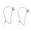 2pcs/304 Stainless Steel Hoop Earrings Findings Kidney Ear Wires, with Clear Cubic Zirconia