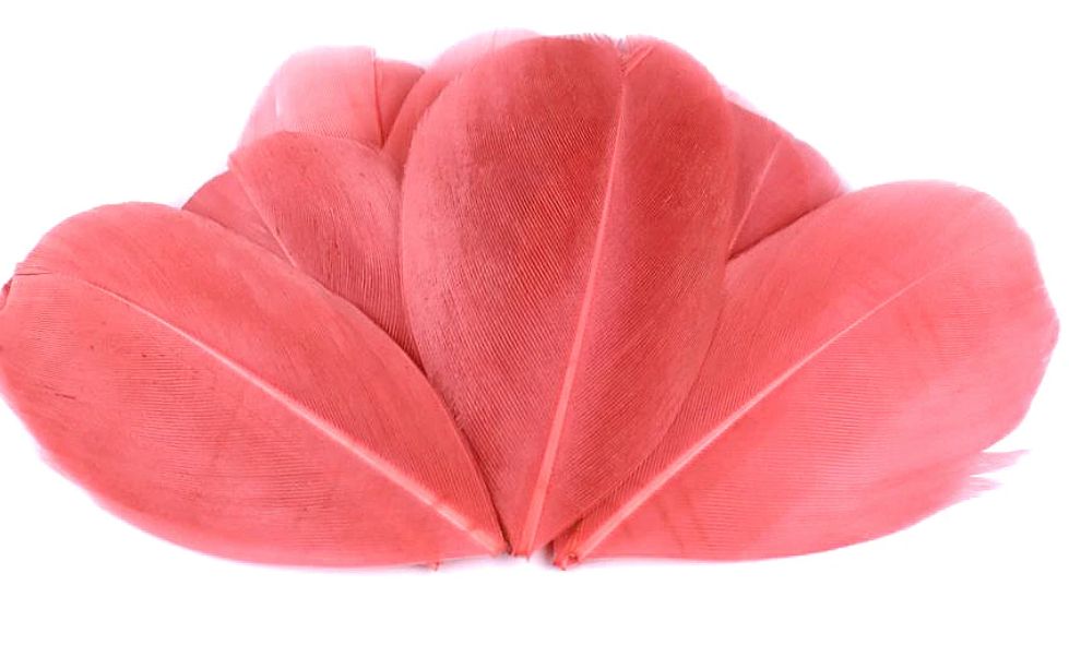 Goose Feathers 10pcs/ 5.5-7cm