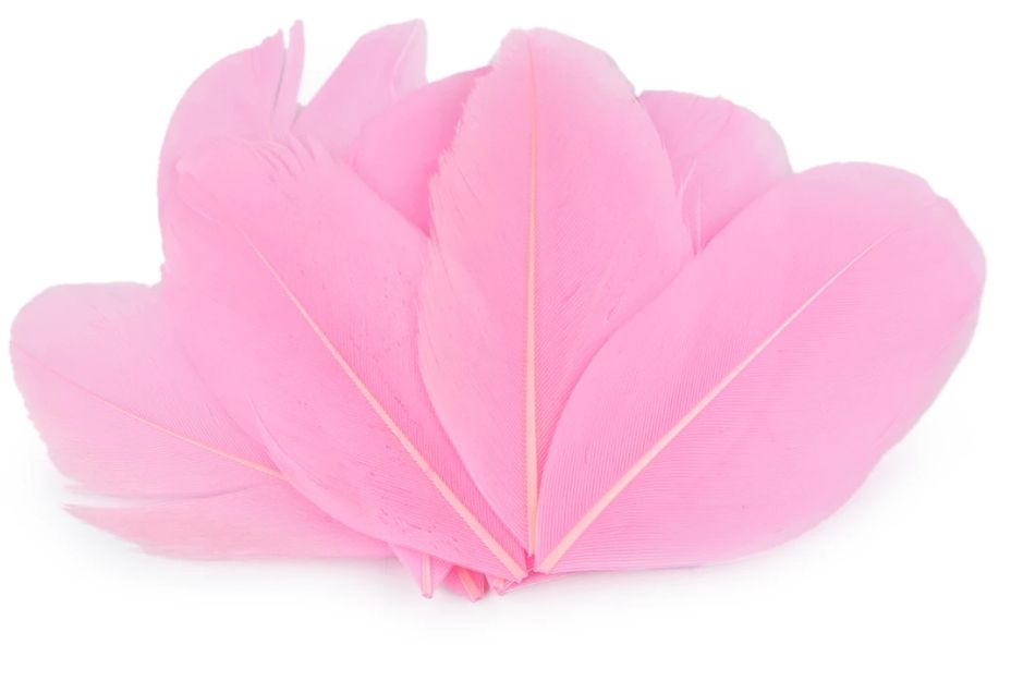 Goose Feathers 10pcs/ 5.5-7cm