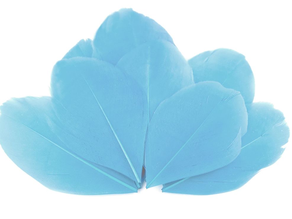 Goose Feathers 10pcs/ 5.5-7cm