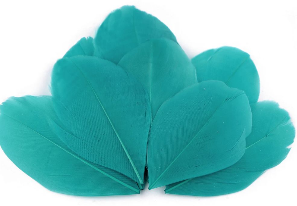 Goose Feathers 10pcs/ 5.5-7cm