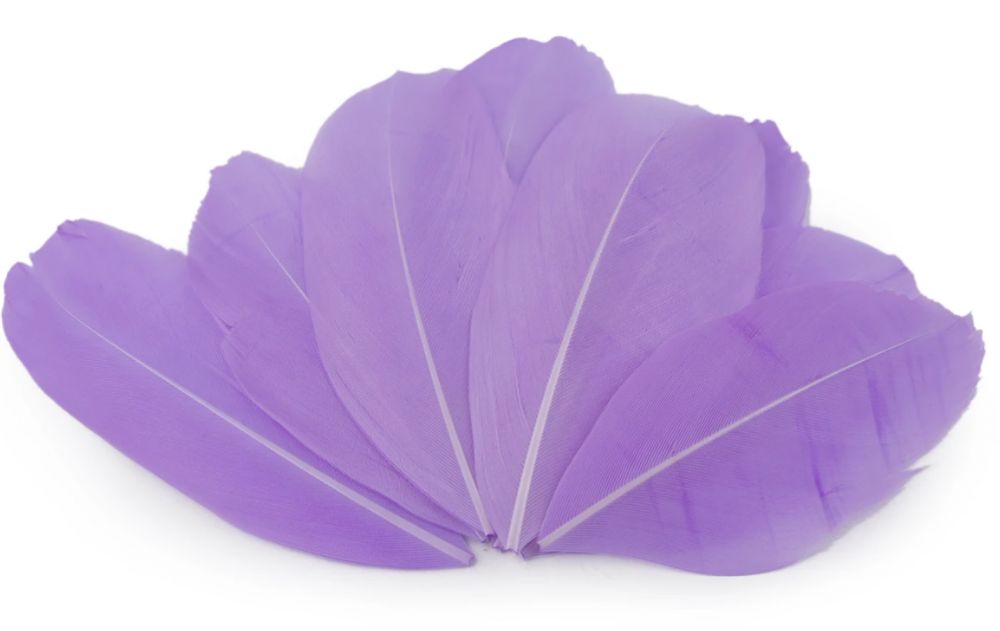 Goose Feathers 10pcs/ 5.5-7cm
