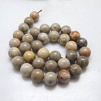 Natural Fossil Coral Beads Strands, Round, 6mm