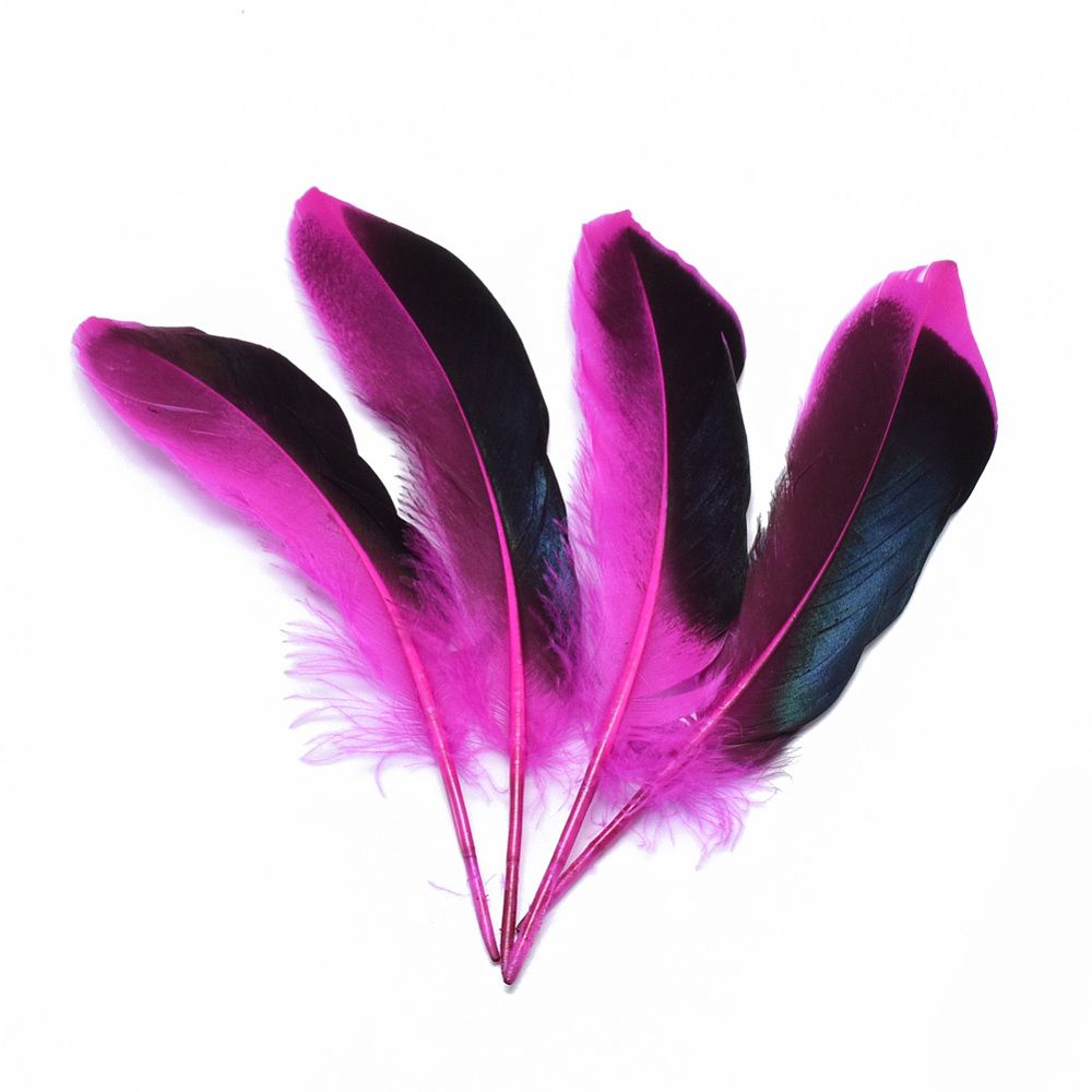 10pcs/Feather Costume Accessories, Dyed/ 115~160x20~35mm