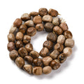 Natural Picture Jasper Beads Strands, Nuggets, Tumbled Stone, 9~17x8~12x6~8mm, Hole: 1mm, about 38pcs/strand, 15.55''(39.5cm)