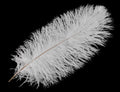 Ostrich feathers/1pcs/ 40-45cm