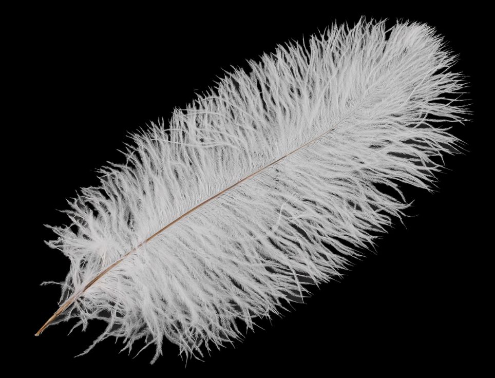 Ostrich feathers/1pcs/ 40-45cm