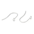 20pcs/ 316 Surgical Stainless Steel Earring Hooks/18x15mm