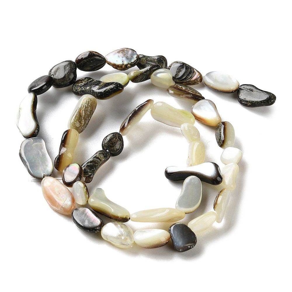 Natural Black Lip Shell Beads Strands, Nuggets, 7~13x5~8x3~5mm, Hole: 0.6mm, about 39~41pcs/strand, 13.78~14.37 inch(35~36.5cm)