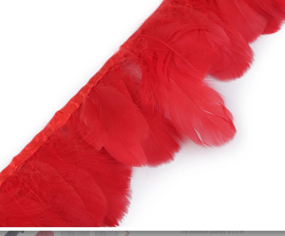Feather Trimming - Goose Feathers/9cm/1m